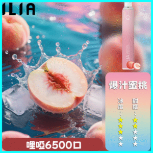 ILIA BAR 4 哩啞四代一次性抛棄式電子煙 6500口拋棄式 爆汁蜜桃