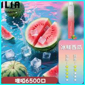 ILIA BAR 4 哩啞四代一次性抛棄式電子煙 6500口拋棄式 冰鮮西瓜